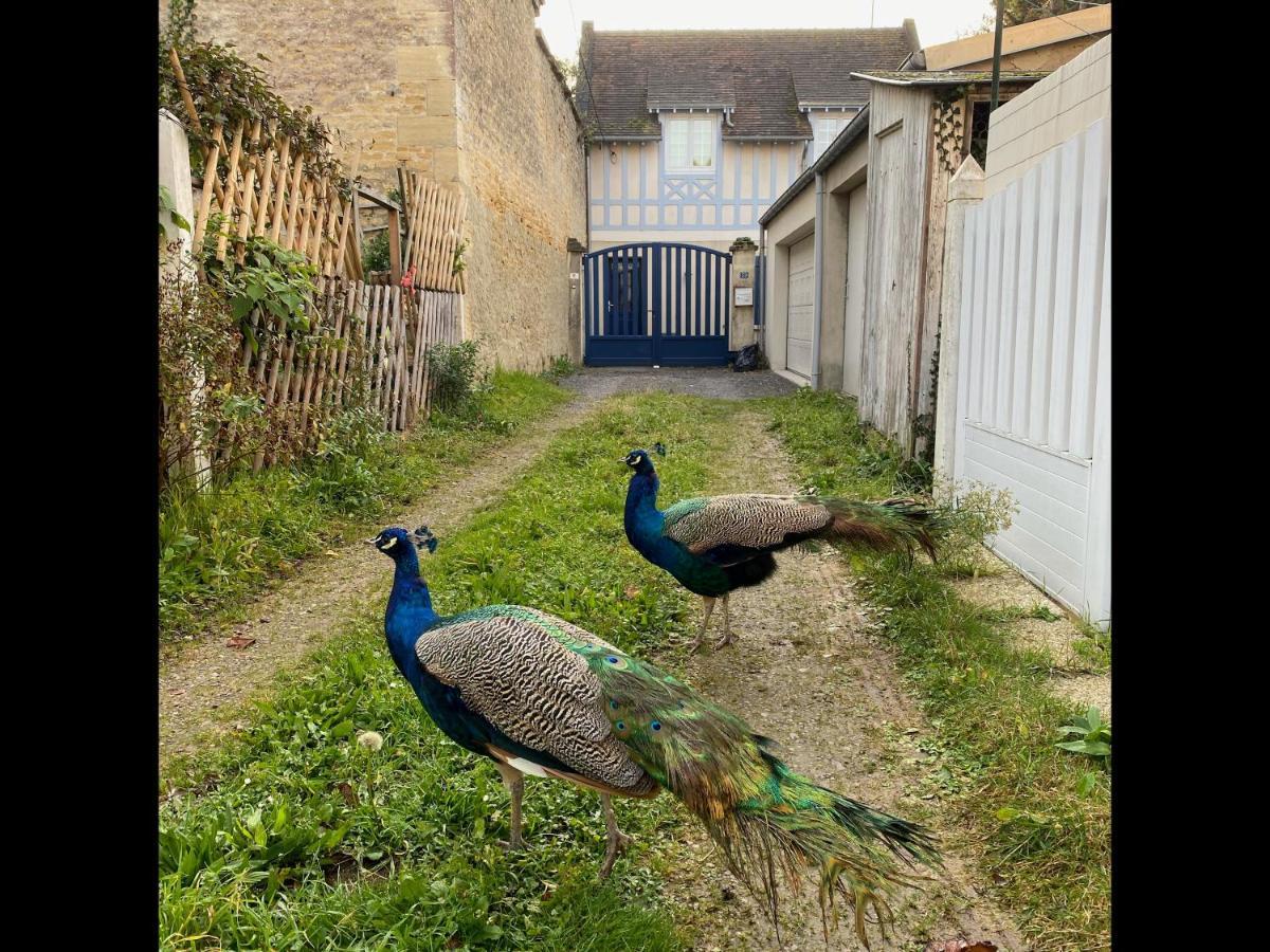 Balaena - Maison Avec Jardin Proche Plage Luc-sur-Mer Bagian luar foto